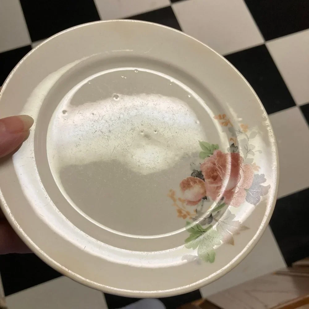 Vintage Salad Plates (2) 6 Inches with Pink & Blue Flowers / Roses